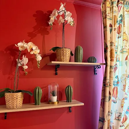 Apartmán Centre, Ambiance Angevine